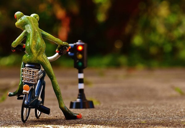 Apprendre le Code de la route en s'amusant